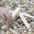 Allen's Firewood Kindling - 8lb