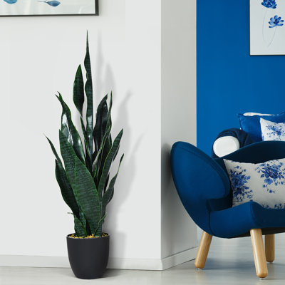 36 po Faux Snake Plant en pot