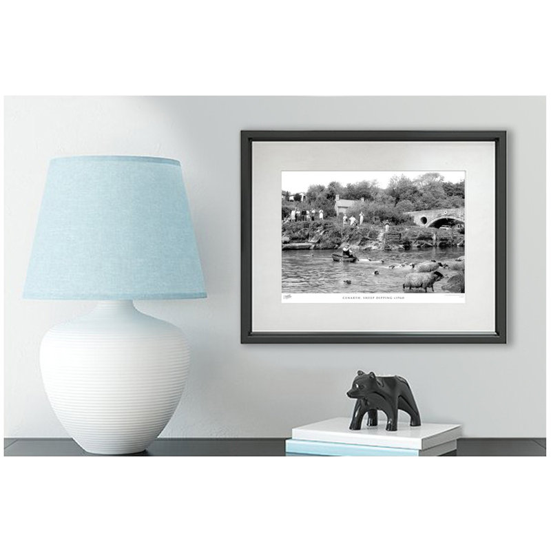 Cenarth, Sheep Dipping C1960 by Francis Frith - Single Picture Frame Print, 45cm H x 60cm W x 2.3cm D