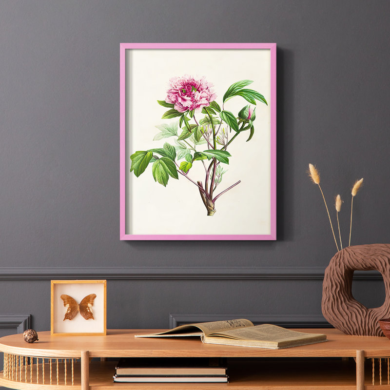 «Pretty Pink Botanicals», reproduction encadrée en bois massif, Rose, H 10 po x l 8 po