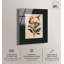 «Hummingbird Dreams», reproduction d'art acrylique par Art Remedy-118140923