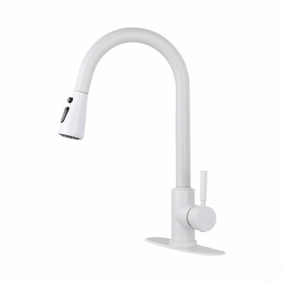 Kitchen Faucet With Pull Out Spraye