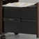 Kaneki 16'' Wide 2 -Drawer Mobile File Cabinet