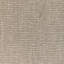 Carnot Plain-2024238388