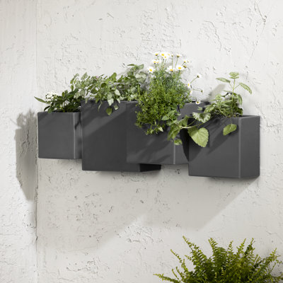 Dalya Planter