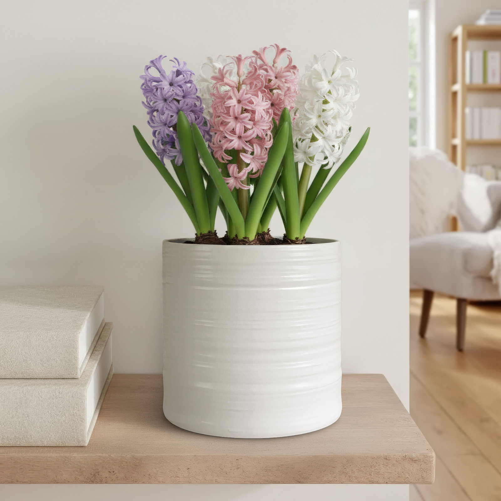 Canella 7" Ceramic Pot Planter