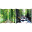 Joesph Walk in the Woods Canvas Folding Room Divider-99200515