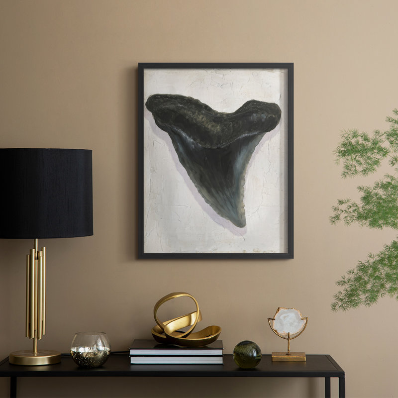 Watercolor Sharks Tooth I Framed Print - Solid Wood, 11" H x 9" W, Black