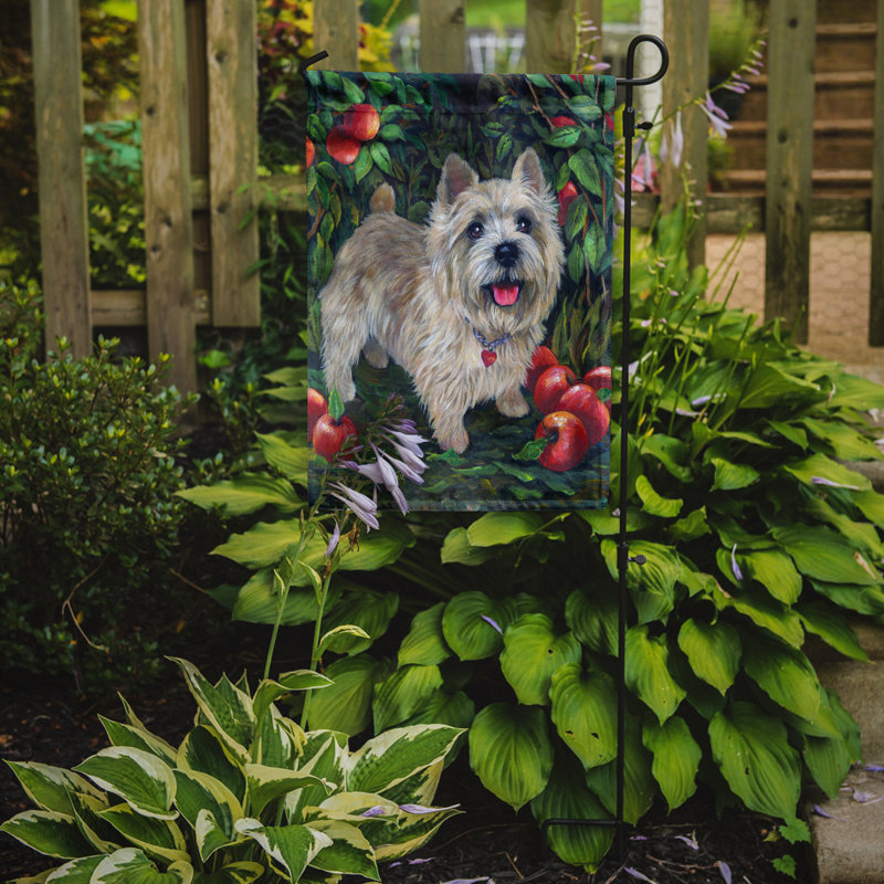Drapeau de jardin en polyester à 2 côtés Graziello Bichon Frise Do It Better 1 x 0,11 pi, Norwich Terrier bosquet de pommes