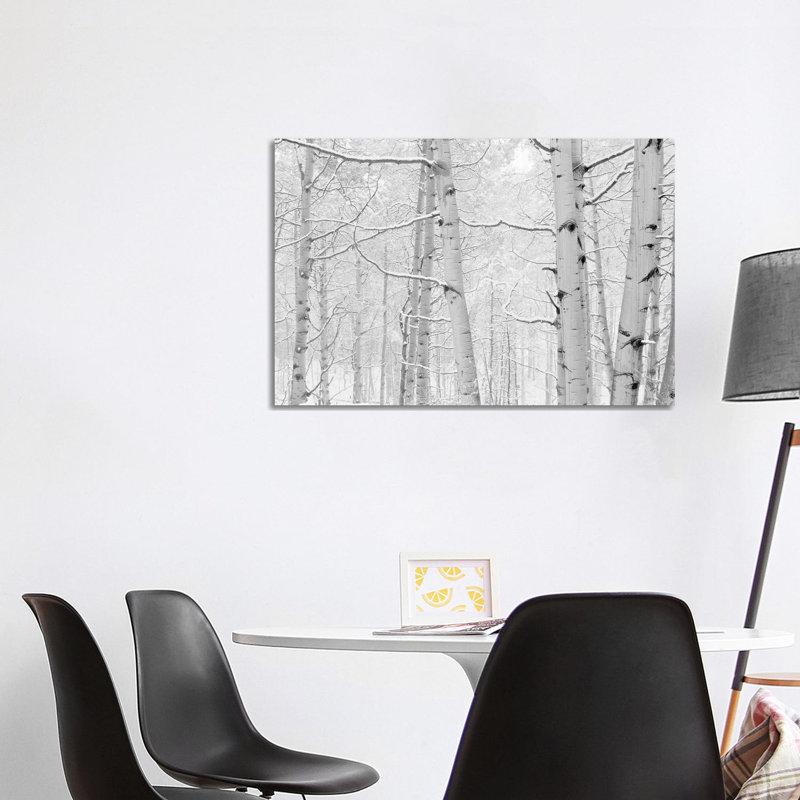 Autumn Aspens with Snow, Colorado, USA (Black and White) I 1 Piece Wrapped Canvas Wall Art