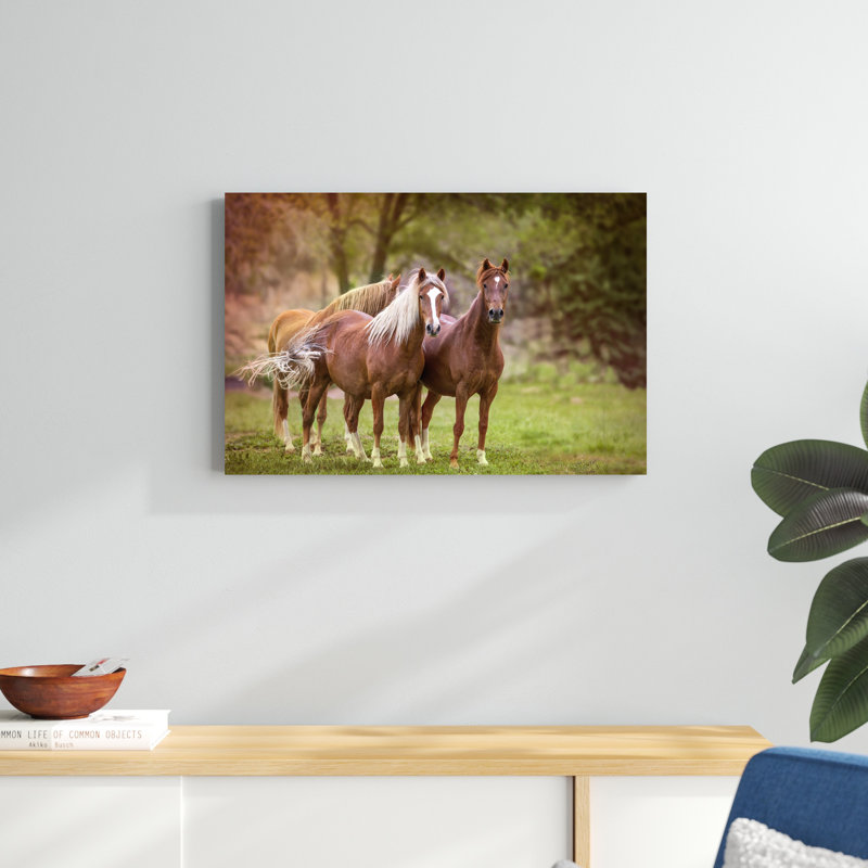 Chevaux dans le champ I, H 20 po x l 30 po x P 1,25 po