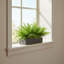 Outdoor UV Rated Ferns Arranged in Fiberstone Planter-1065045423-1058090902