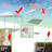 Canopy