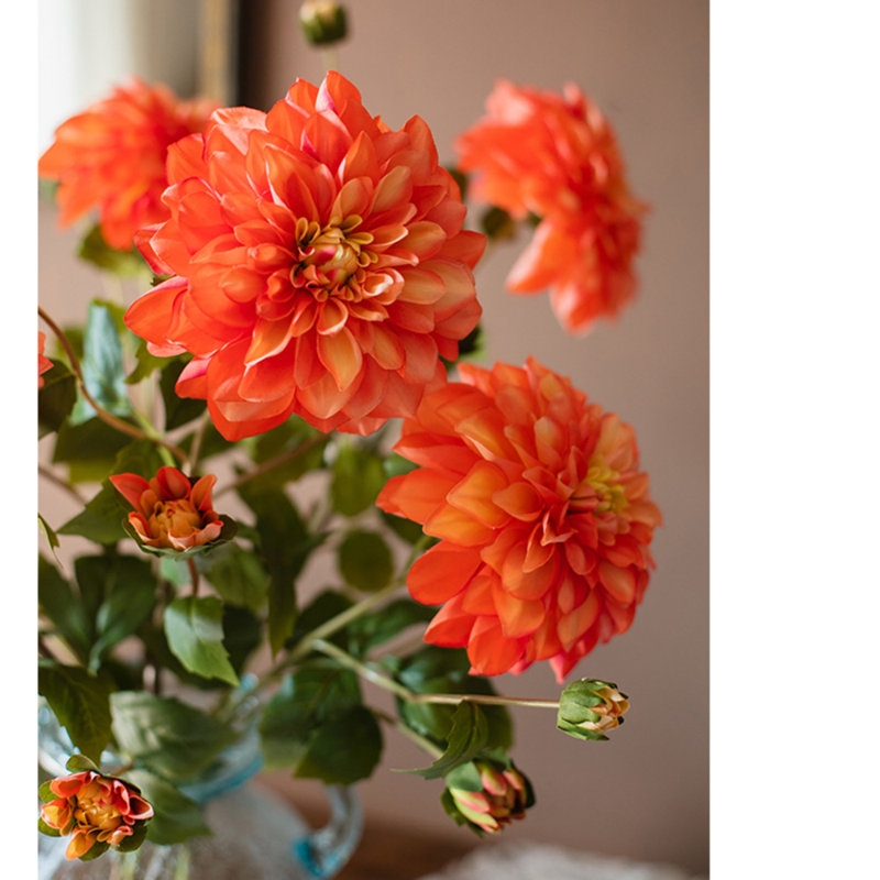 Tige de dahlia, Orange / jaune