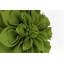 Housse de coussin Floral-88582394-88582379
