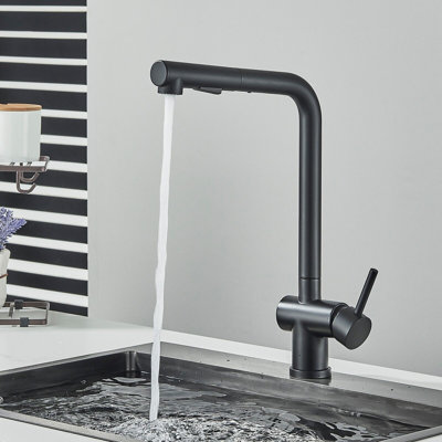 Belfry Kitchen Raposo Pull Out Kitchen Faucet