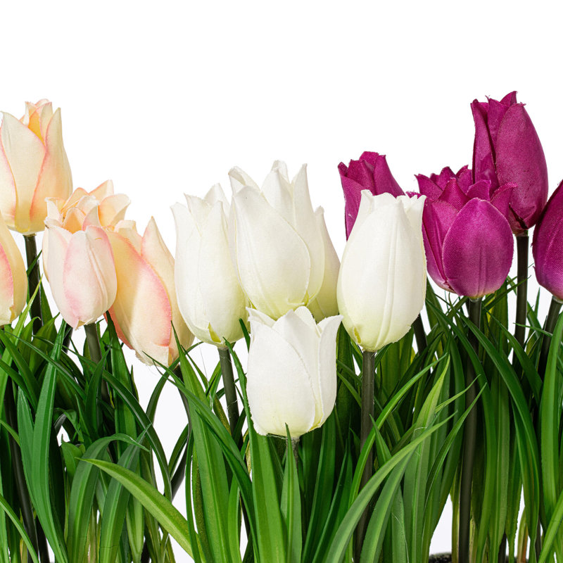 Arrangement floral de tulipes en pot