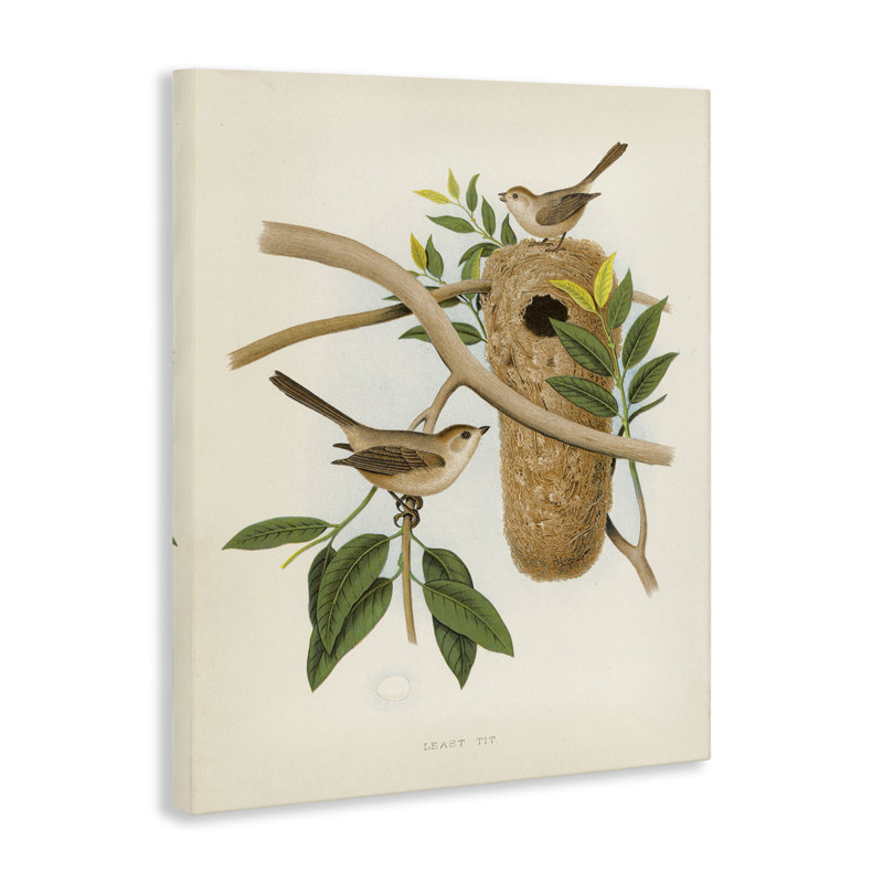  Art mural rétro, "Bird House Study" par Tina Higgins Designs, Inc., H 40 po x l 30 po