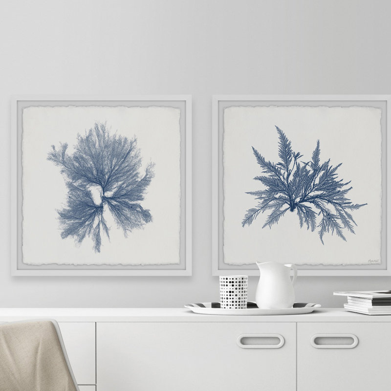 Marine sea weed vi’par marmont hill-ensemble de 2 reproductions d’art encadrées sur papier, H 18 po x l 18 po x P 1,5 po