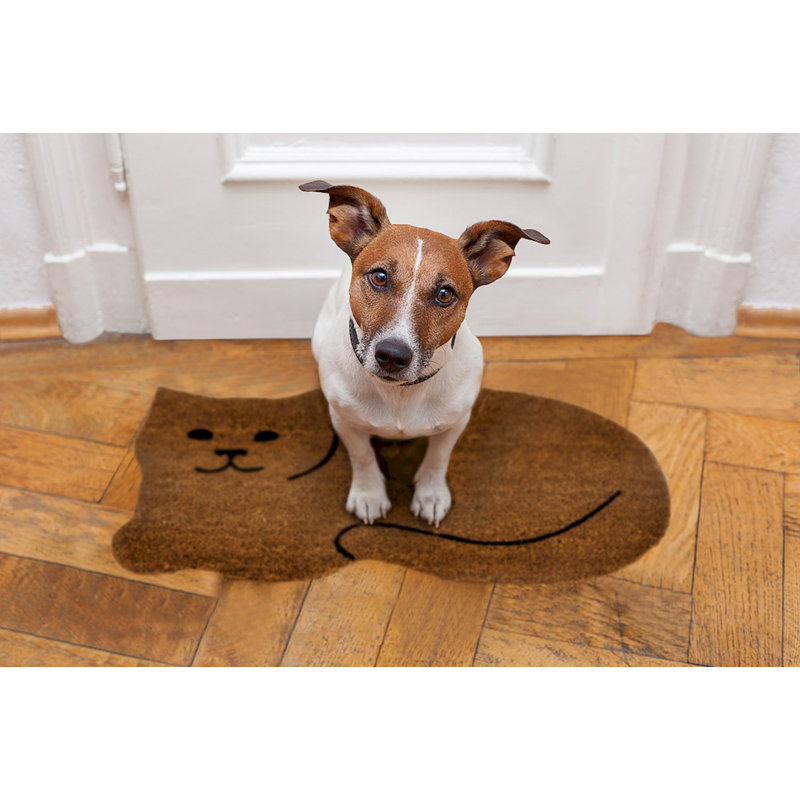 Tapis pour porte d'extérieur 30 po x 18 po Drexell