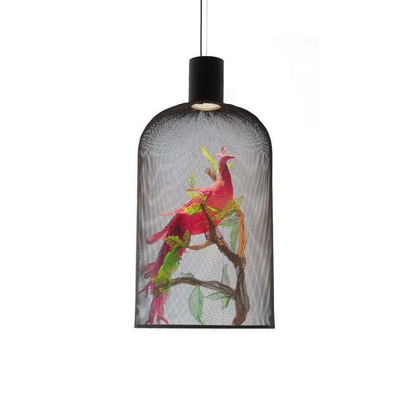 Curio 1 - Light Pendant