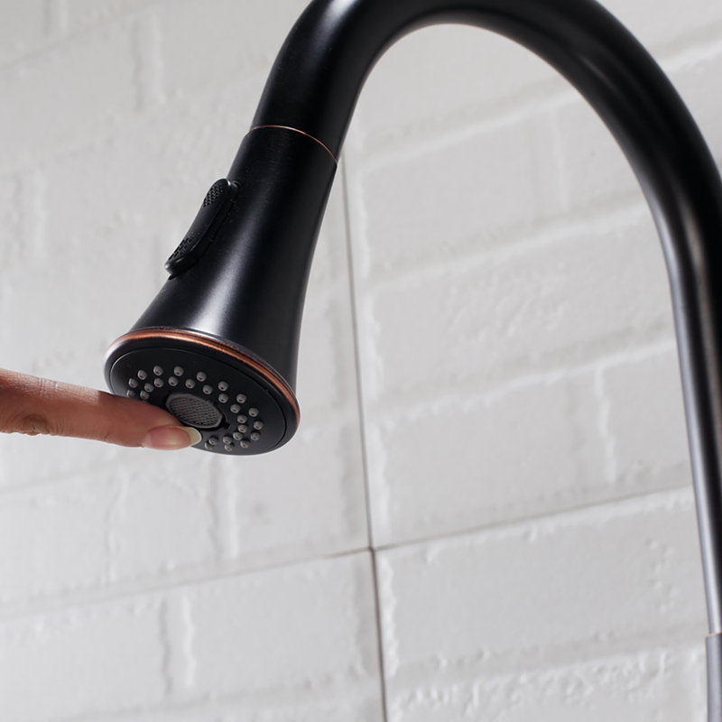 Topcraft Single-Handle Pull-Out Kitchen Faucet