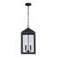 Yaelle 2 - Light LED Outdoor Hanging Lantern