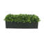 Nature's Nostalgia 6'' Faux Boxwood Plant in Fiberstone Planter-1801679001