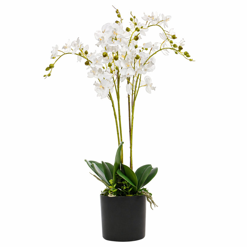 60cm Faux Plant in Pot Liner, White