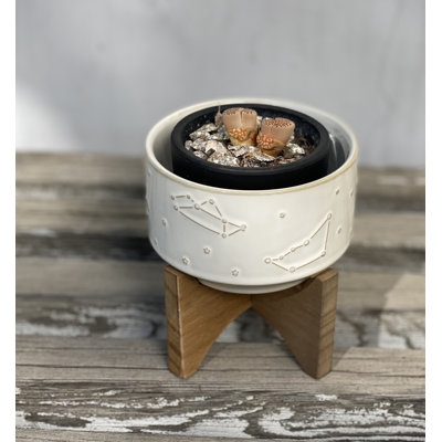 Winfred Ceramic Pot Planter