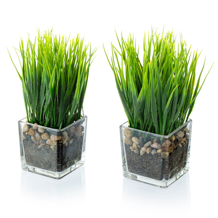 Factory Direct Craft Pack of 24 Artificial Wispy Onion Grass Sprays Faux  Wheat Grass Plants Greenery for Flower Arrangements, Porch Pot Filler