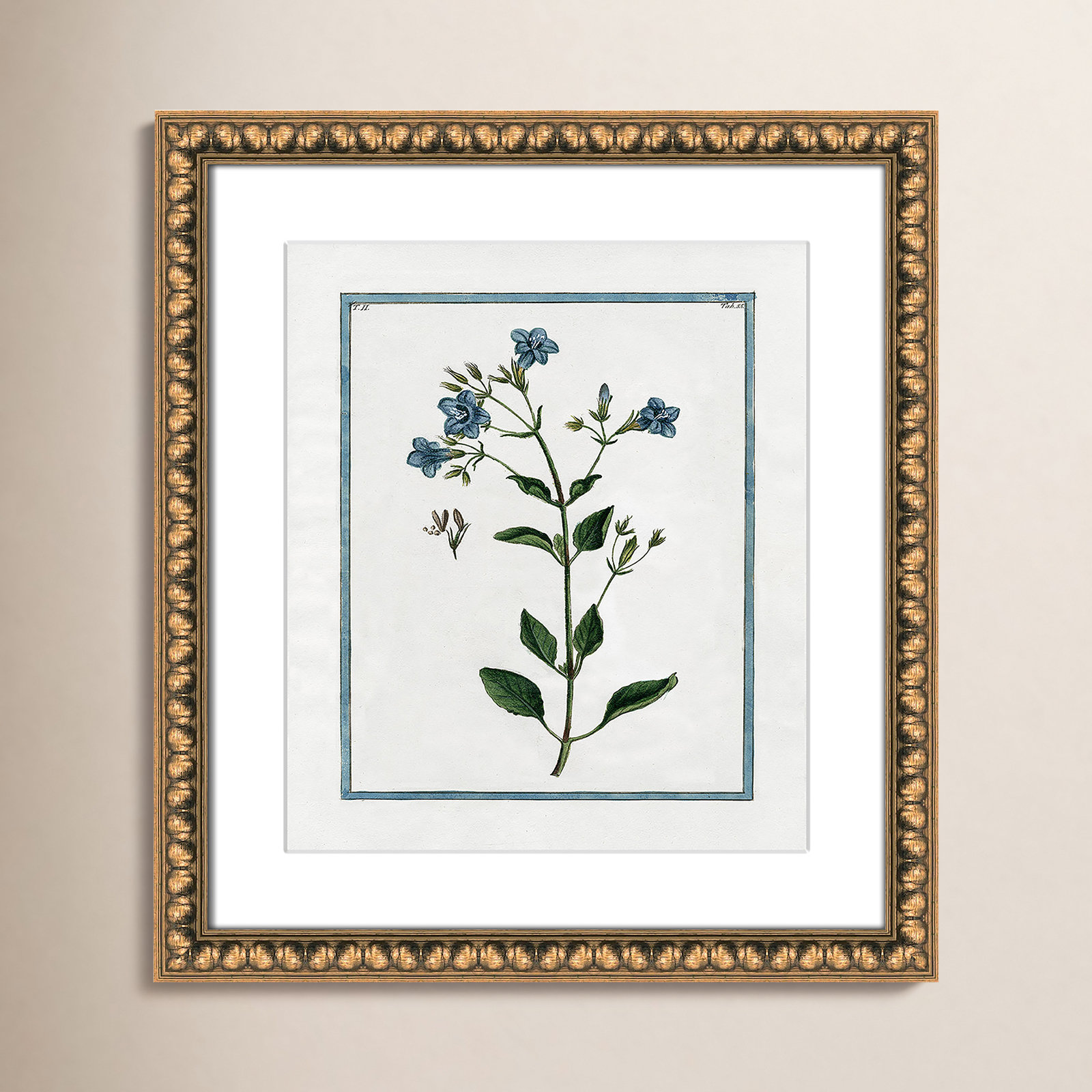 Shabby Elegance Botanical II - Framed Art, Gold Bead Framed, 14" W x 16" H
