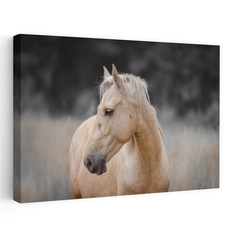 «Serene Palomino Horse», reproduction d'art murale cheval contemporain, 24" H x 36" W