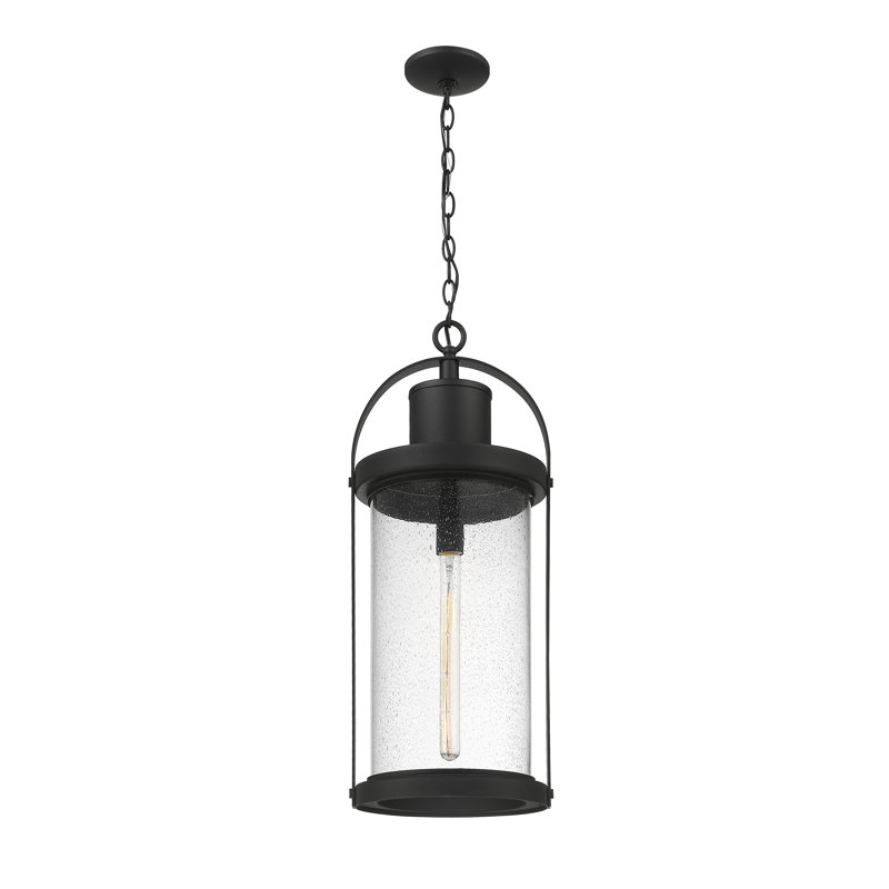 Vierra Outdoor Hanging Lantern
