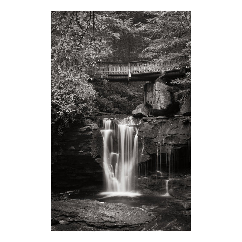 Elakala Falls West II BW, H 48 po x l 32 po, Non, Toile tendue