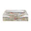 Arcadia Chettah Scene Acrylic Decorative Tray-1742000393
