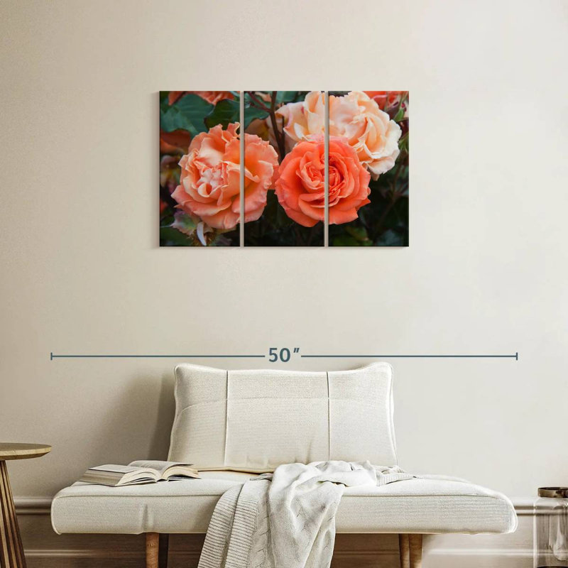 Roses hybrides orange Harnek, H 20 po x l 33 po