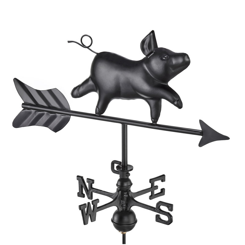 Girouette en aluminium Sharyon
