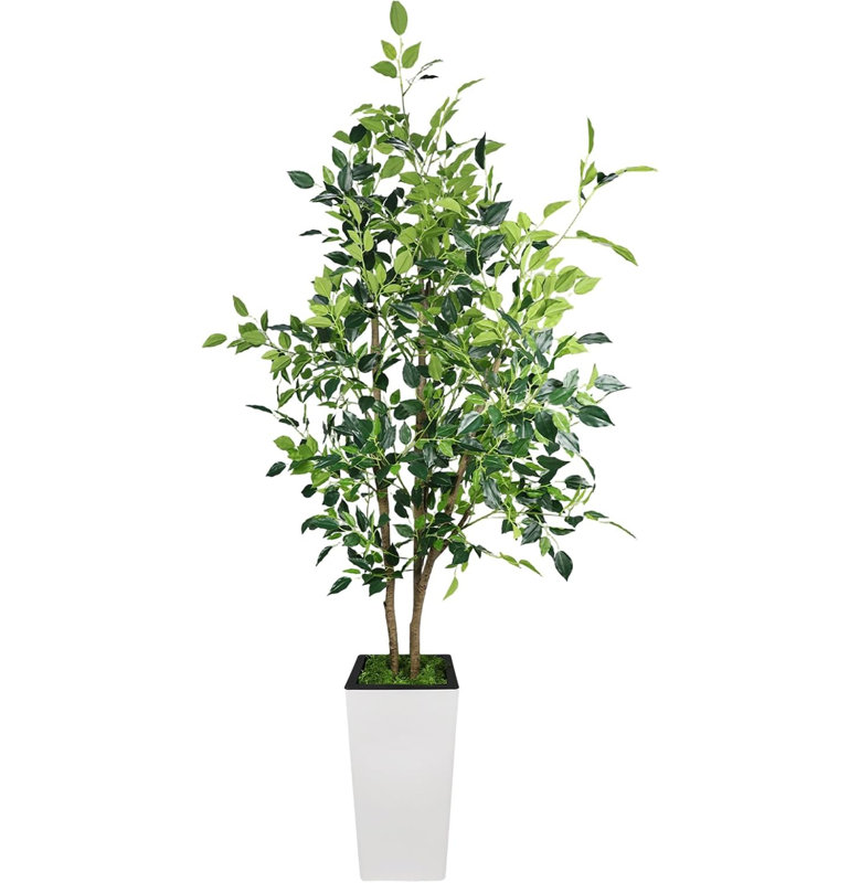 23 cm H Faux Plant, 23cm H x 23cm W x 100cm D