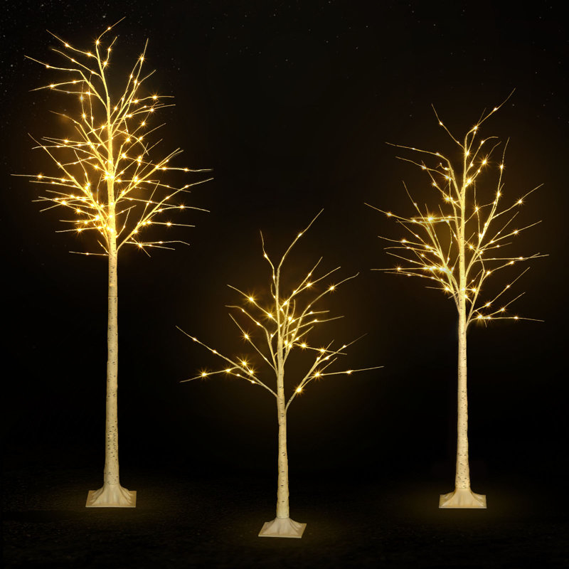Lighted Trees & Branches