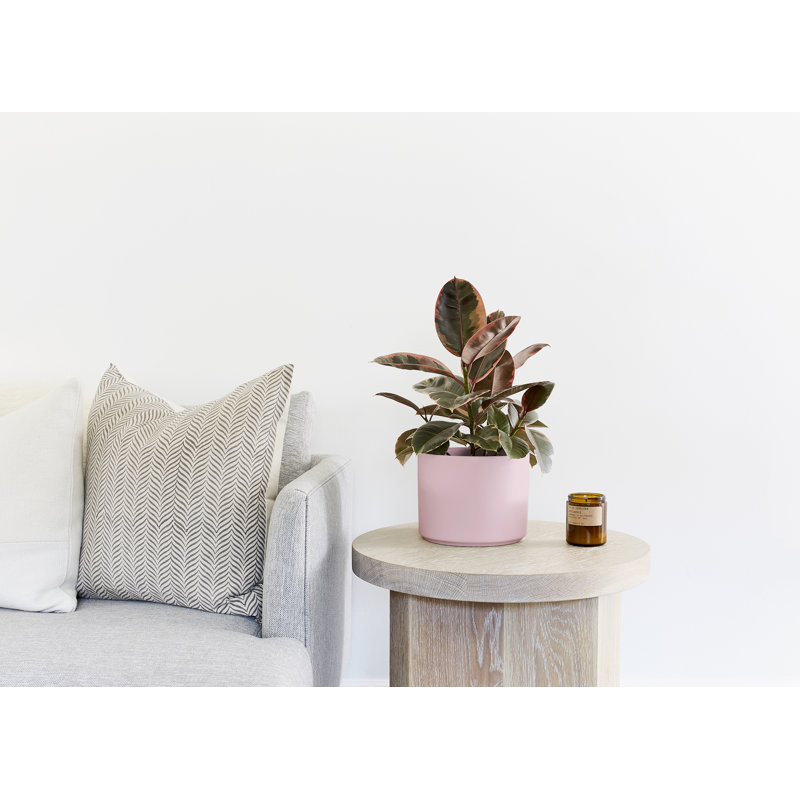 Pot de fleurs en grès cérame, Rosé, H 8,25 po x l 6,5 po x P 6,5 po