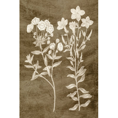 Botanical In Taupe I