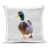Canard 2