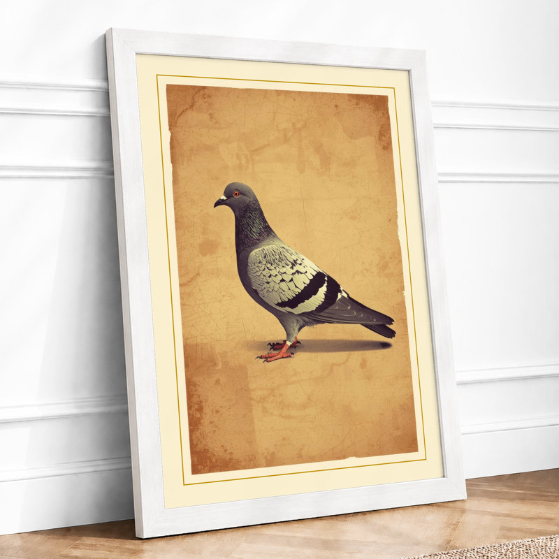 Pigeon Study In Profile Vintage - Print, A3 - 42.0 x 29.7 cm, White
