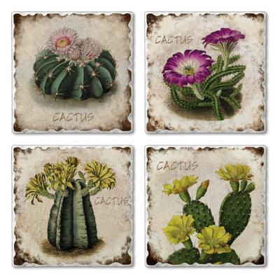 Cactus Flowers 4-Pack Tumbled Tile Stone Coasters