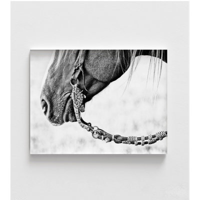 «Equine Portrait II» par Phburchett, cheval Bridles Alberson, reproduction d'art sur le thème du ranch Cowboy Home