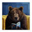Ours brun lisant un livre sur un animal de la forêt-982548464-983641499