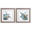 Set Of Two Neutral Sea Turtle Brown Framed Print Wall Art