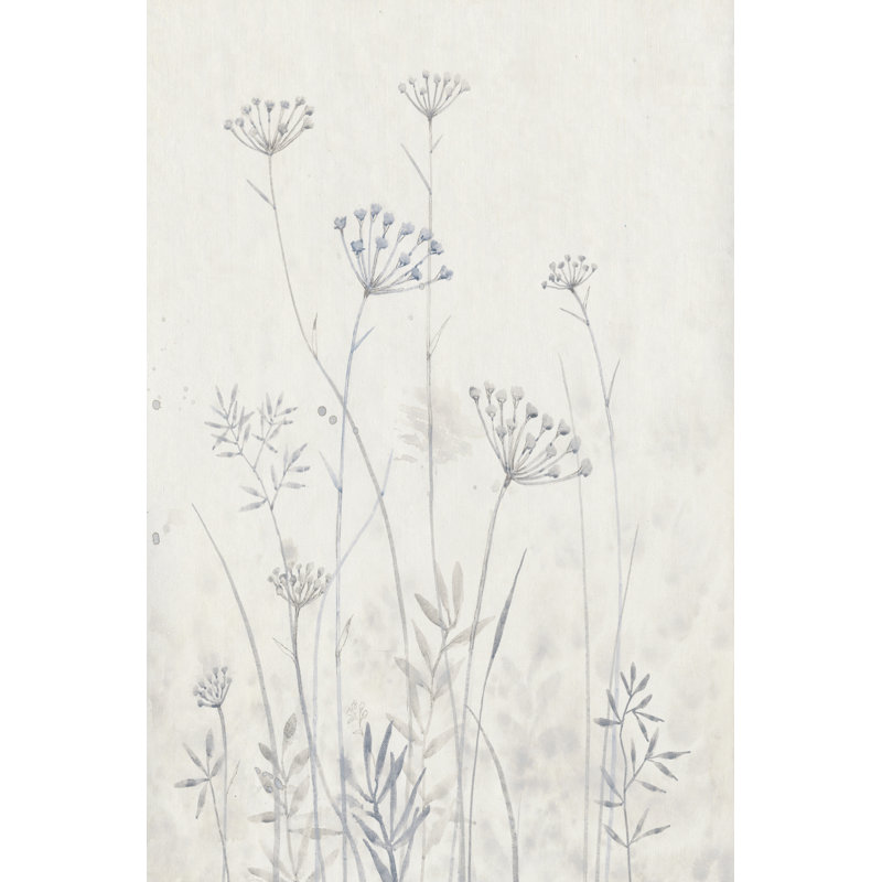 Neutral Queen Anne''s Lace I by Tim OToole - Wrapped Canvas Art Print, 46cm H x 30cm W