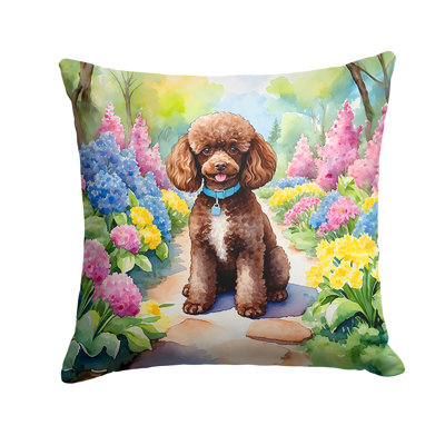 Spring Path Outdoor Throw Pillow